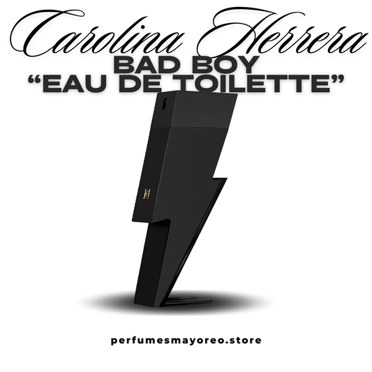 Carolina Herrera Bad Boy - Eau de Toilette (100 ml)